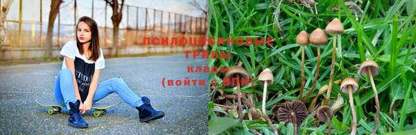 круглые Бородино